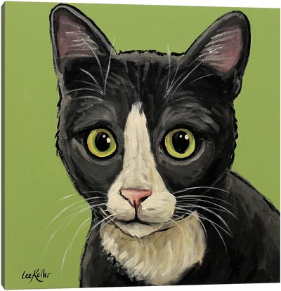 Gray Tuxedo Cat Canvas Art Print - Hippie Hound Studios