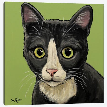 Gray Tuxedo Cat Canvas Print #HHS291} by Hippie Hound Studios Canvas Print