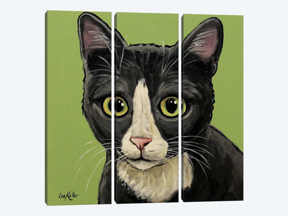 Gray Tuxedo Cat by Hippie Hound Studios 3-piece Canvas Art