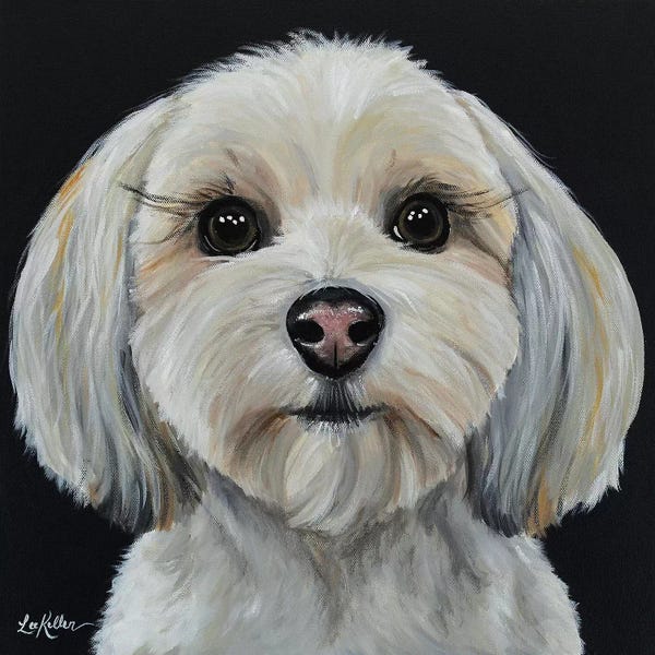 Hippie Hound Studios: Havanese On Black by Hippie Hound Studios