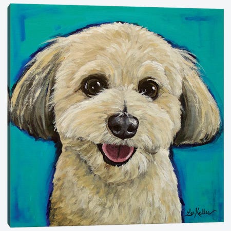 Havanese On Teal Canvas Print #HHS294} by Hippie Hound Studios Canvas Art