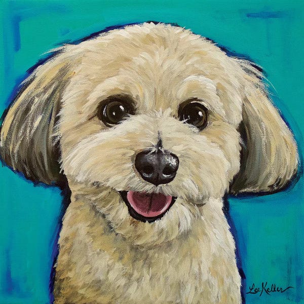 Hippie Hound Studios: Havanese On Teal by Hippie Hound Studios