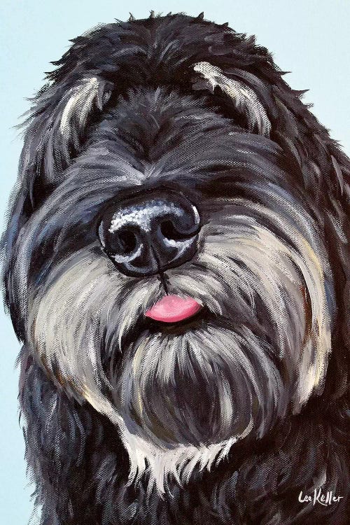 Labradoodle  by Hippie Hound Studios wall art