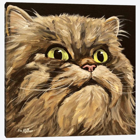 Main Coon Cat Canvas Print #HHS296} by Hippie Hound Studios Canvas Artwork