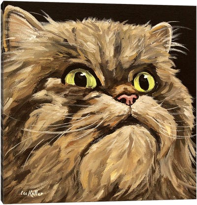 Main Coon Cat Canvas Art Print
