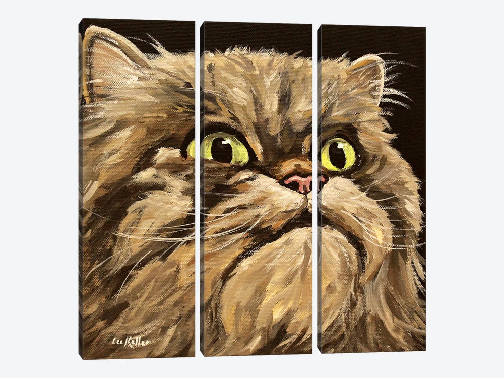 Main Coon Cat by Hippie Hound Studios 3-piece Canvas Art Print