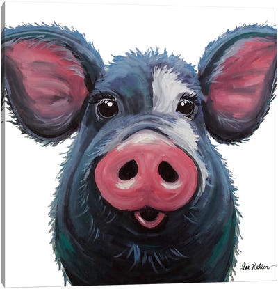 Lulu The Pig On White Canvas Art Print - Hippie Hound Studios