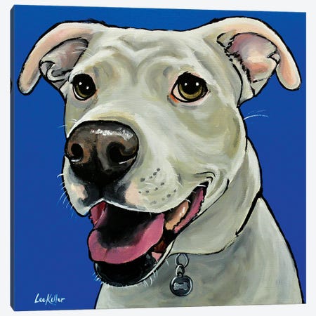 Pit Bull On Royal Blue Canvas Print #HHS301} by Hippie Hound Studios Canvas Print