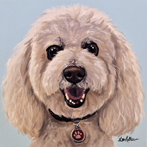 Poodles: Poodle On Light Blue by Hippie Hound Studios