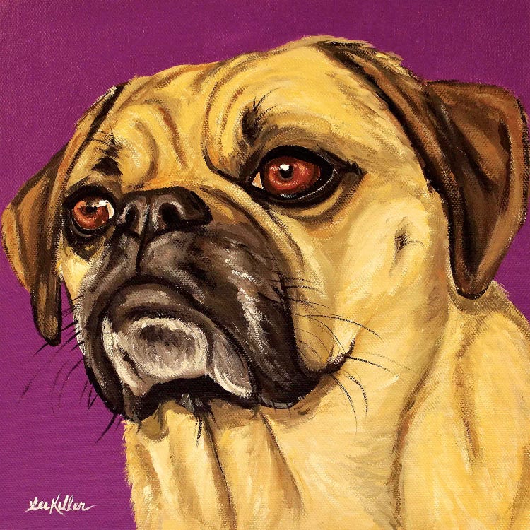 Puggle On Purple