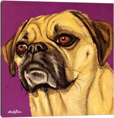 Puggle On Purple Canvas Art Print - Pug Art