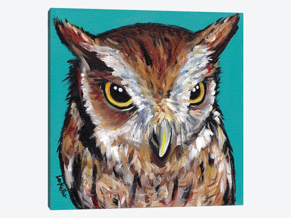 Screech Owl by Hippie Hound Studios 1-piece Canvas Artwork