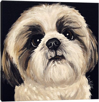 Shih Tzu On Black I Canvas Art Print - Best Selling Dog Art