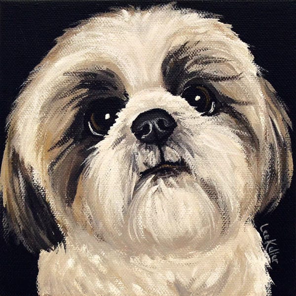 Shih Tzus: Shih Tzu On Black I by Hippie Hound Studios