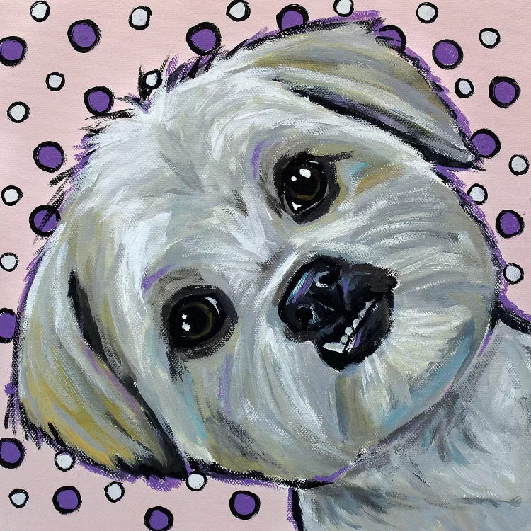 Shih Tzu On Polka Dots by Hippie Hound Studios wall art