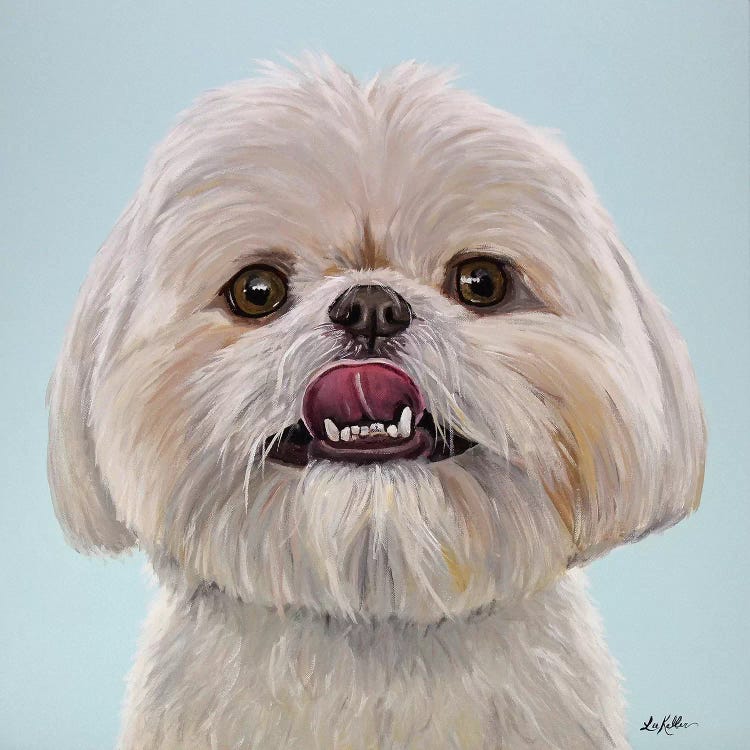 Ribeye The Shih Tzu by Hippie Hound Studios wall art