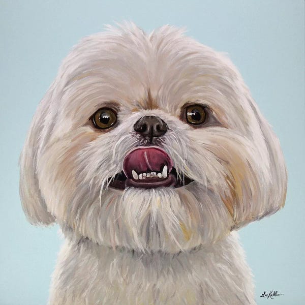 Shih Tzus: Ribeye The Shih Tzu by Hippie Hound Studios