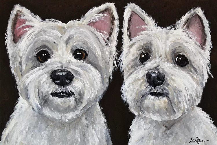 West Highland Terrier Pair