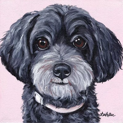 Yorkiepoo On Pink by Hippie Hound Studios framed wall art