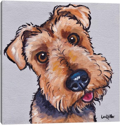 Levi The Airedale Terrier  Canvas Art Print - Airedale Terrier Art