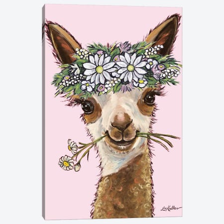 Rosie The Alpaca With Daisies On Pink Canvas Print #HHS320} by Hippie Hound Studios Canvas Print