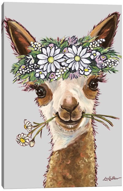 Rosie Alpaca With Daisies On Gray Canvas Art Print - Hippie Hound Studios
