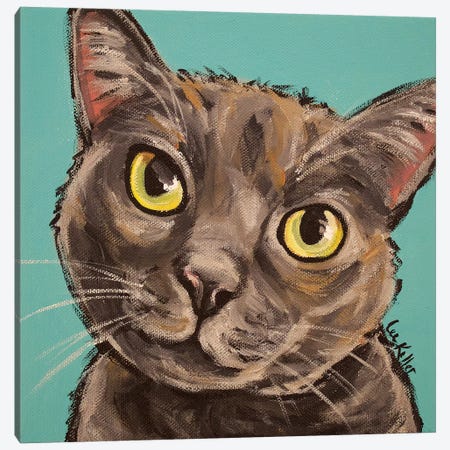 Munch The Gray Cat  Canvas Print #HHS328} by Hippie Hound Studios Canvas Print