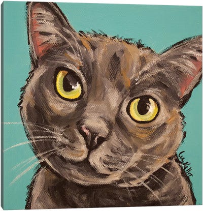 Munch The Gray Cat  Canvas Art Print - Hippie Hound Studios