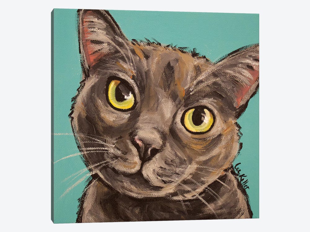 Munch The Gray Cat  by Hippie Hound Studios 1-piece Canvas Print