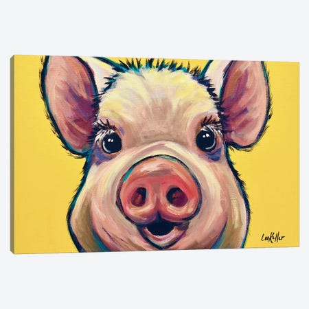 Marmalade The Pig On Yellow Canvas Print #HHS330} by Hippie Hound Studios Canvas Artwork