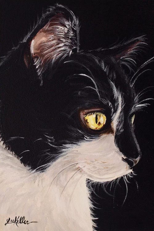 Tuxedo Cat by Hippie Hound Studios wall art