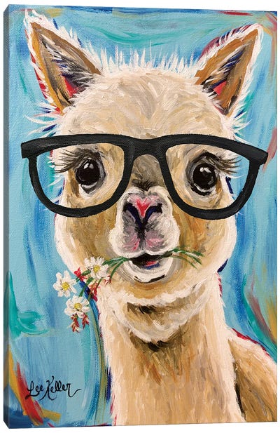 Alpaca Glasses  Canvas Art Print - Animal Humor Art