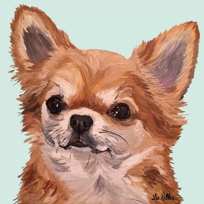 Baby Bear Chihuahua by Hippie Hound Studios metal wall art