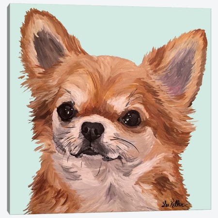 Baby Bear Chihuahua Canvas Print #HHS341} by Hippie Hound Studios Art Print