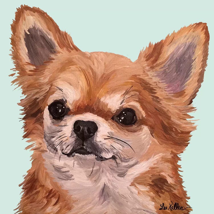 Baby Bear Chihuahua by Hippie Hound Studios wall art