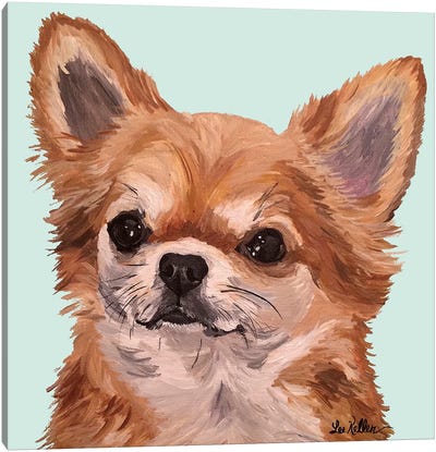Baby Bear Chihuahua Canvas Art Print - Chihuahua Art