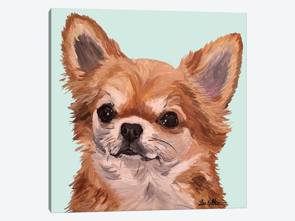 Baby Bear Chihuahua by Hippie Hound Studios 1-piece Canvas Art