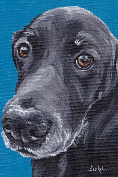 Black Lab Arlo by Hippie Hound Studios framed wall art