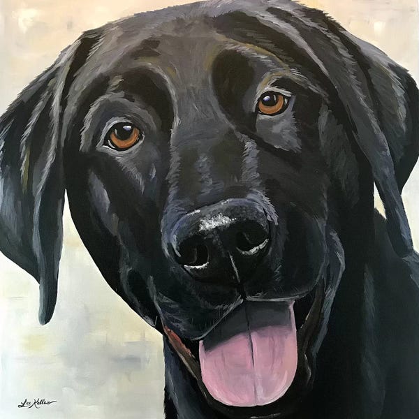 Labrador Retrievers: Black Lab Close Up by Hippie Hound Studios