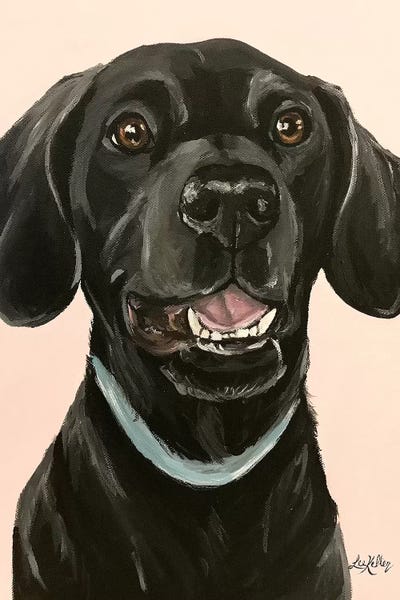 Black Lab On Pink II by Hippie Hound Studios canvas print