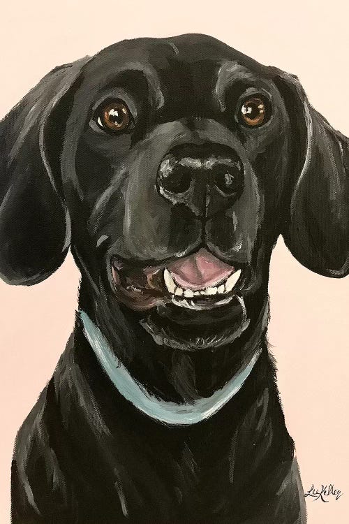 Black Lab On Pink II
