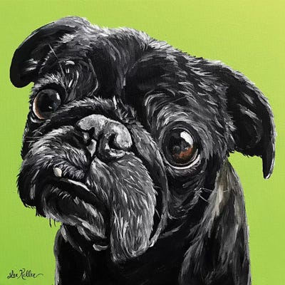 Black Pug by Hippie Hound Studios metal wall art
