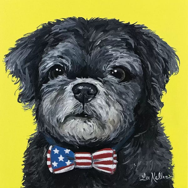 Shih Tzus: Black Shih Tzu With Bowtie by Hippie Hound Studios