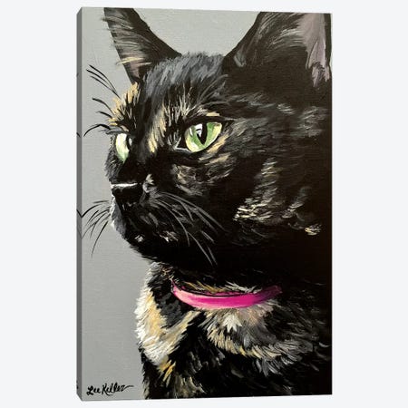 Black Tortiseshell Cat Canvas Print #HHS350} by Hippie Hound Studios Canvas Artwork