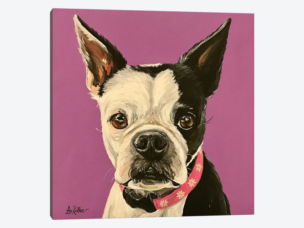 Boston Terrier Purple by Hippie Hound Studios 1-piece Art Print