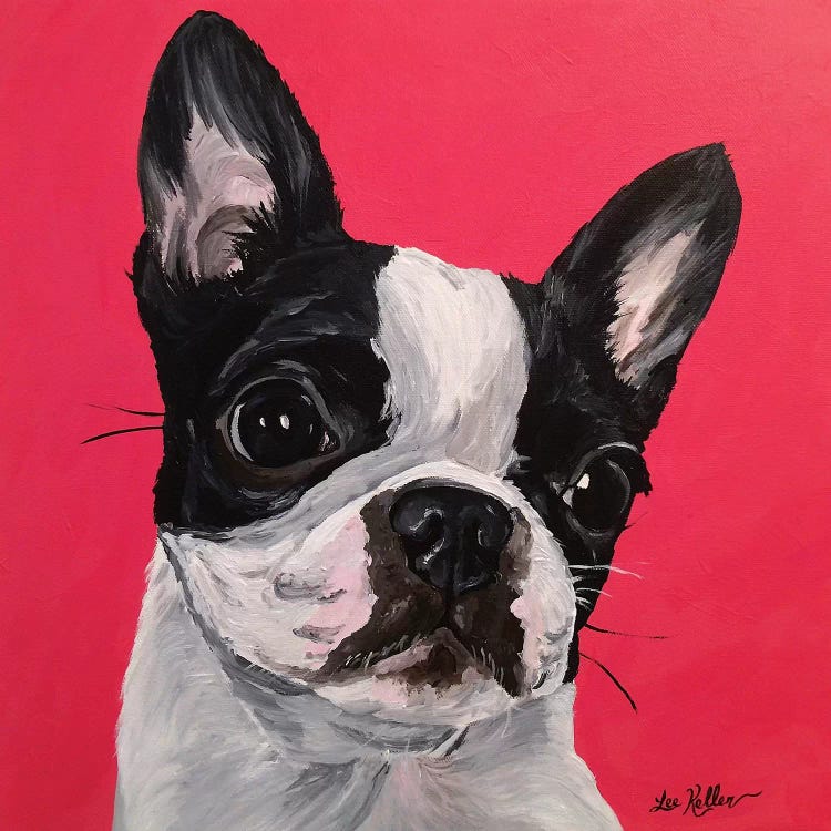 Boston Terrier Rebecca by Hippie Hound Studios wall art