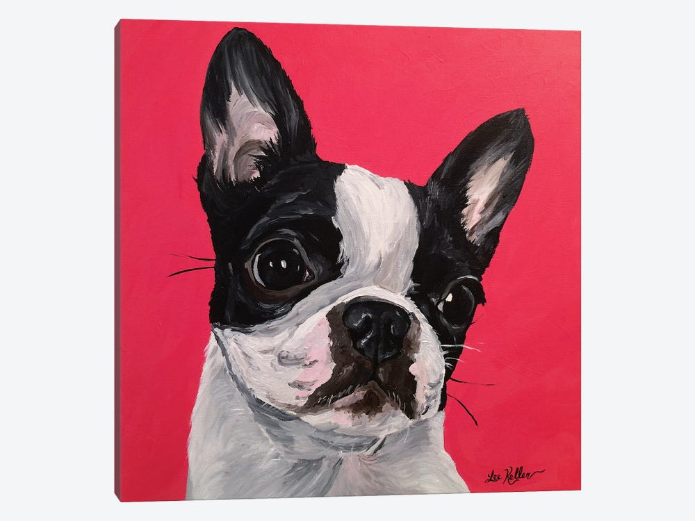 Boston Terrier Rebecca by Hippie Hound Studios 1-piece Canvas Art