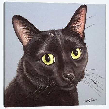 Cat Black Chloe Canvas Print #HHS362} by Hippie Hound Studios Canvas Print