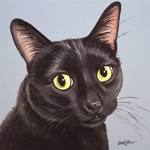 Black Cats: Cat Black Chloe by Hippie Hound Studios
