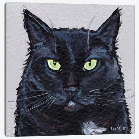 Cat Sassy Canvas Print #HHS365} by Hippie Hound Studios Canvas Artwork